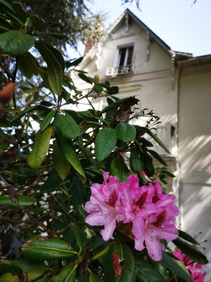 سان جونيان Chambres D'Hotes La Maison Blanche المظهر الخارجي الصورة